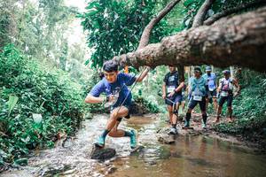 BIB: 
                            <button type="button" onclick="openModal(25374373)" class="btn btn-primary btn-sm float-right btn-popup" data-toggle="modal" data-target=".modal-high-quality">
                        <i class="fas fa-shopping-cart"></i> Add to Cart
                    </button>
                                            <button type="button" onclick="isThisMe(25374373, true)" class="btn btn-success btn-sm float-right btn-popup btn-isme hidden" data-toggle="tooltip" data-placement="bottom" title="นี่คือรูปของคุณใช่ไหม คลิกที่นี่เพื่อเอาเข้าอัลบั้ม">
                        <i class="fas fa-plus"></i> Add to album
                    </button>
                    <button type="button" onclick="isThisMe(25374373, false)" class="btn btn-warning btn-sm float-right btn-popup btn-isnotme hidden">
                        <i class="fas fa-ban"></i> Remove from album
                    </button>